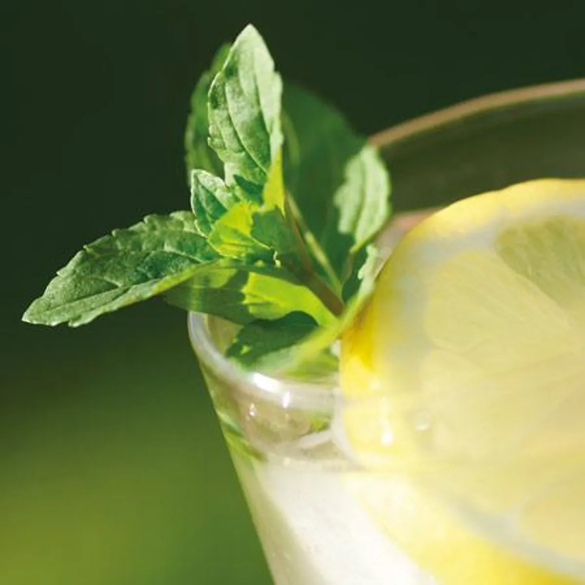 Yuzu cocktail